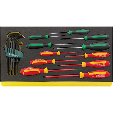 Stahlwille Tools DRALL+ set of screwdrivers i.TCS inlay No.TCS WT 4650-4665 -tray24-pcs. 96830127